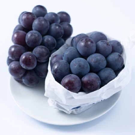 ＜福岡八女産黒木＞巨峰１ｋｇ